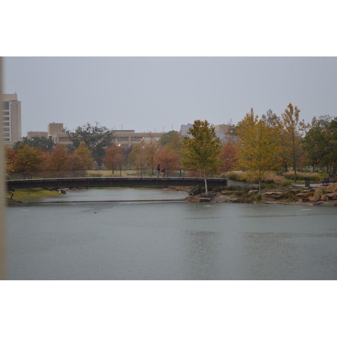 The perfect engagement, even if it was rainy and cold.
