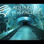 Aquarium of the Pacific