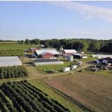 Alstede Farms