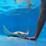 Oceanographic Center