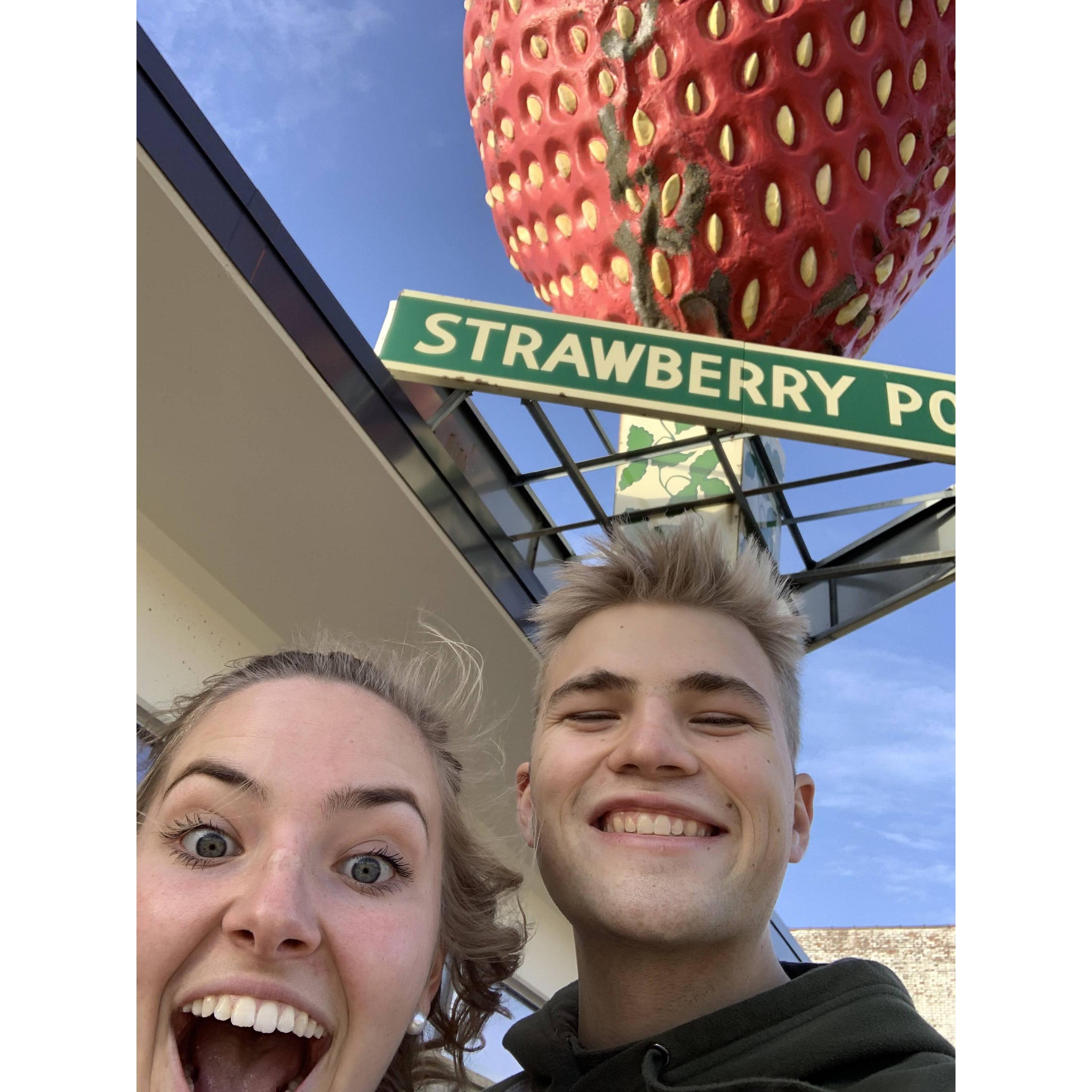 we took a trip to Backbone State Park and decided to stop in Strawberry Point for ice cream... but all we found was the giant strawberry.