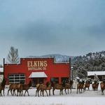 Elkins Distilling Co.