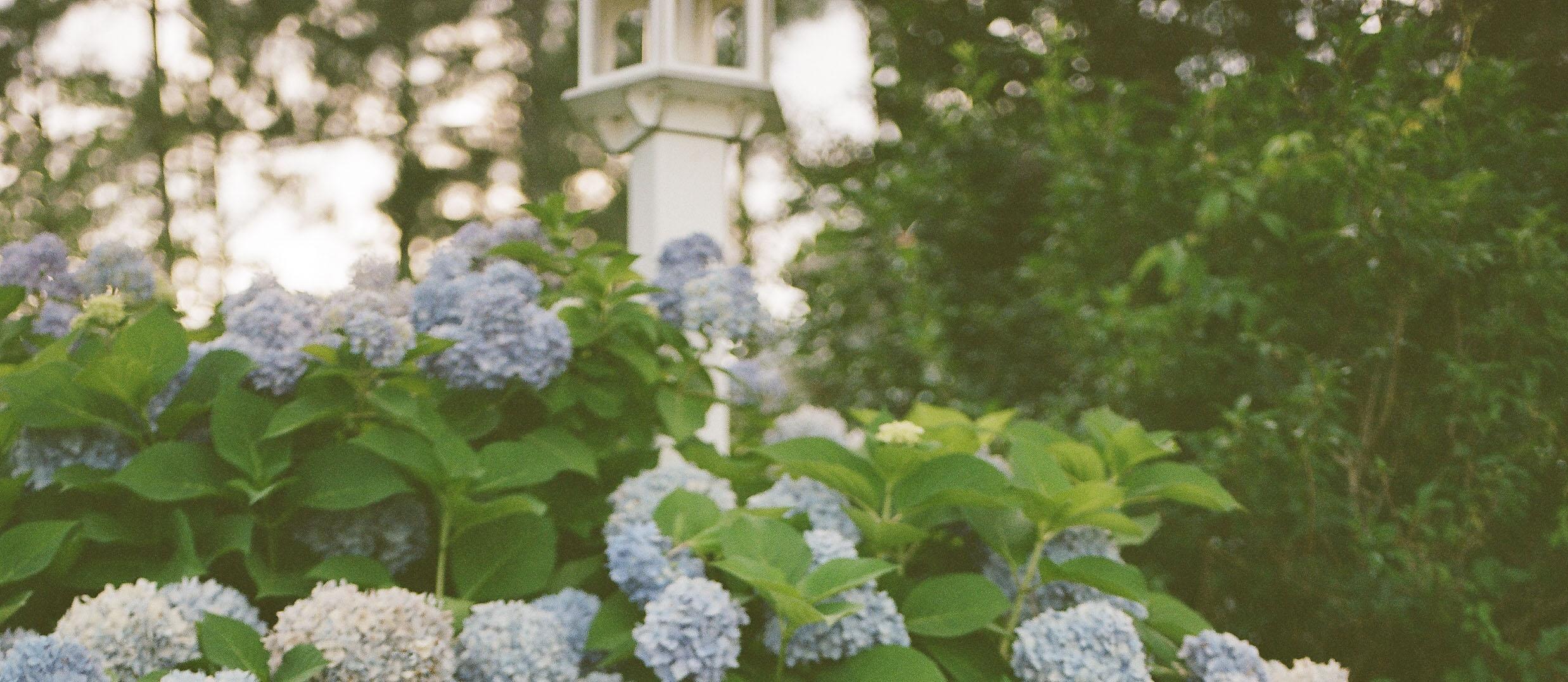 The Wedding Website of Jenna Woodward and Harrison Miller