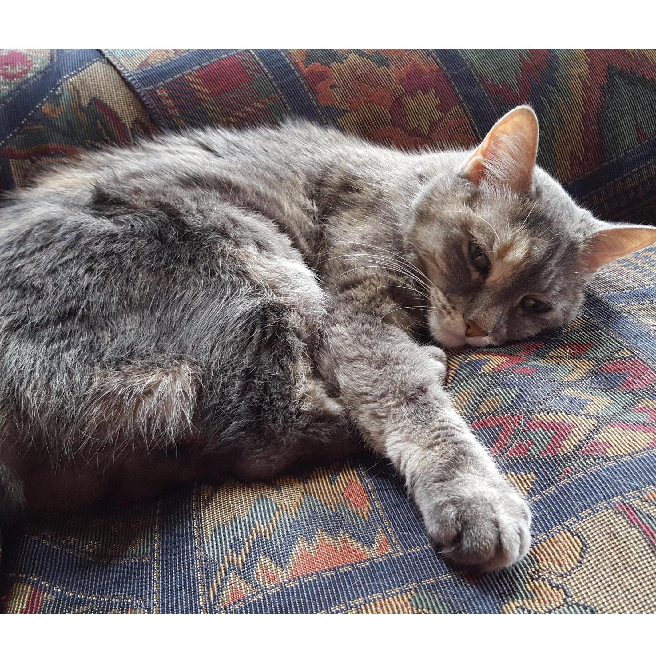Our Mia :(