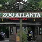 Zoo Atlanta