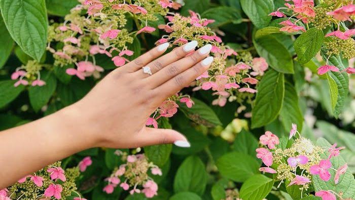 The Wedding Website of DeJa Lake and Kai Simos
