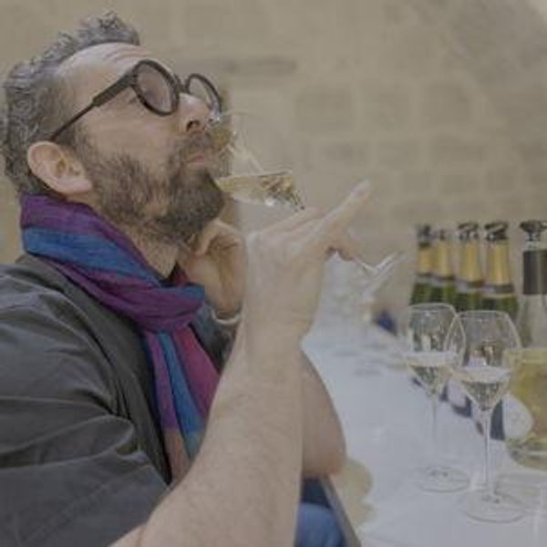 Exploring the French Wine Regions