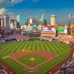 Cardinals Baseball Game