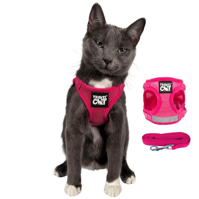 "The True Adventurer" Reflective Cat Harness and Leash