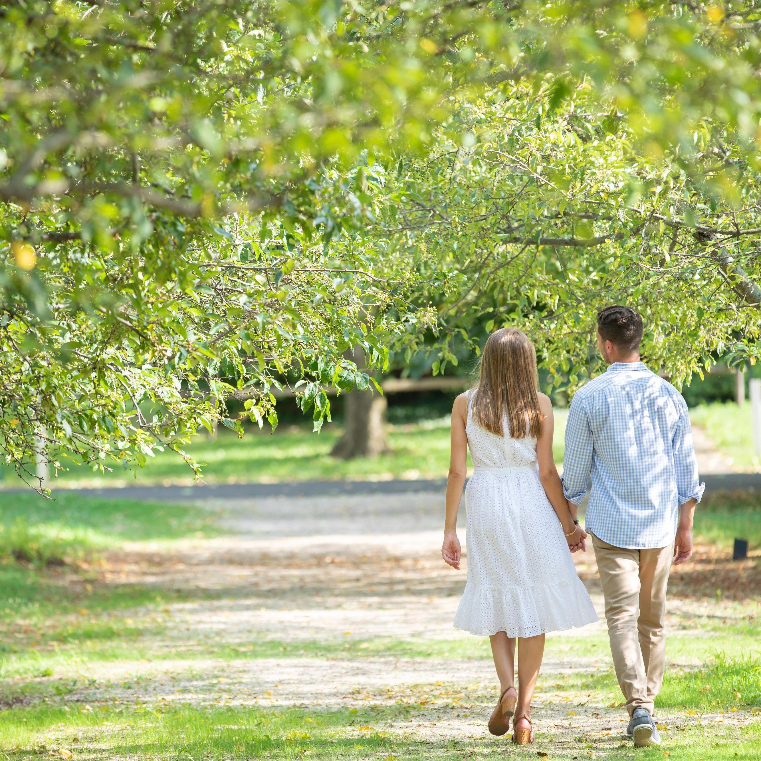 Engagement photos at Planting Fields - August 2020