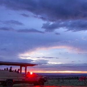 Night Safari Experience / Experiencia de Safari Nocturno