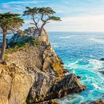 17 Mile Drive Tour