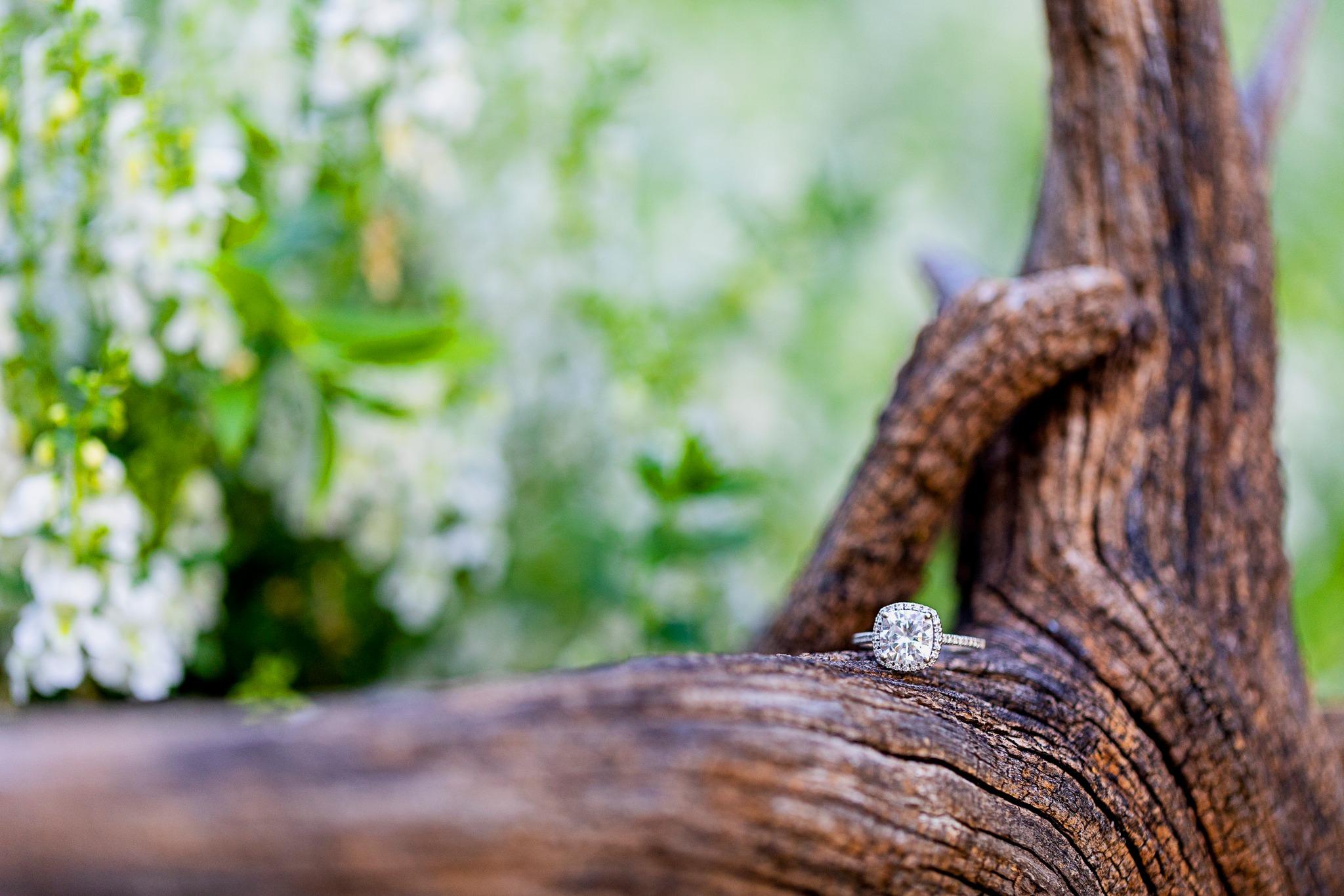 The Wedding Website of Allison Saab and Thomas Hopkins