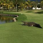 Marina Vallarta Golf Club
