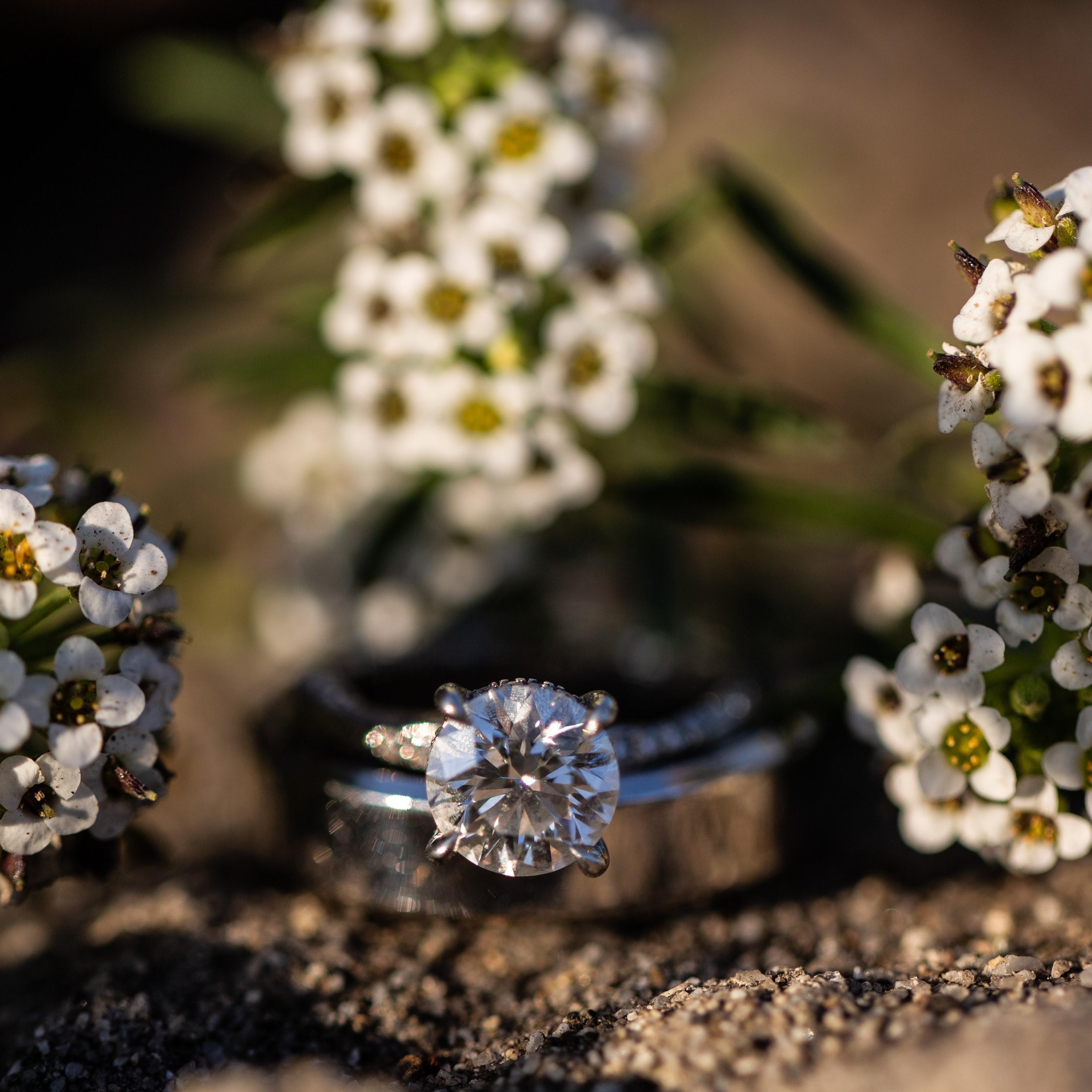 Engagement session in Monterey, CA (2019)