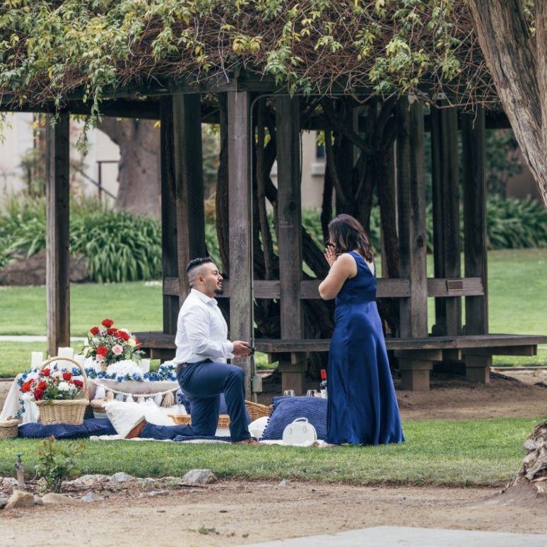 The proposal of our dreams!