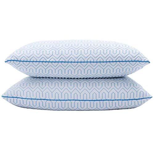 puredown Natural White Goose Down Feather Cool-Down Pillow with Cooling Ice Silk Cover,Set of 2,Queen