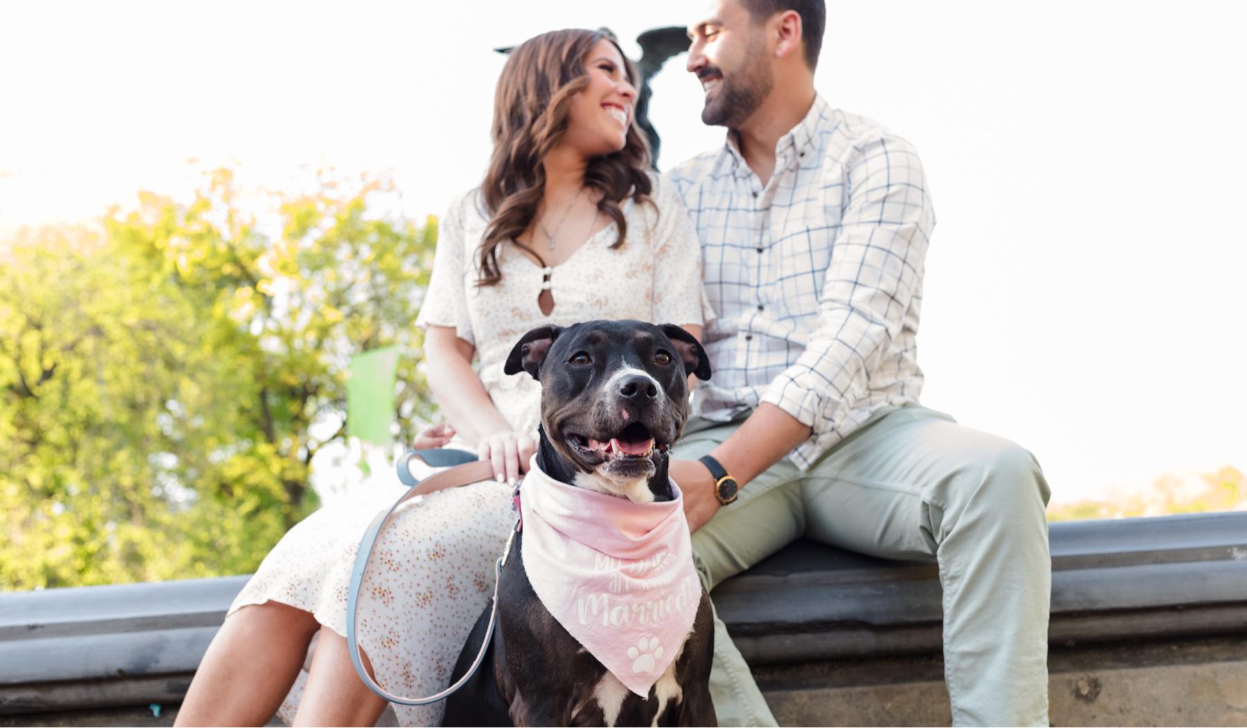 The Wedding Website of Holly Lamp and Steven DeAngelis