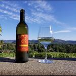 Cooper Ridge Vineyard