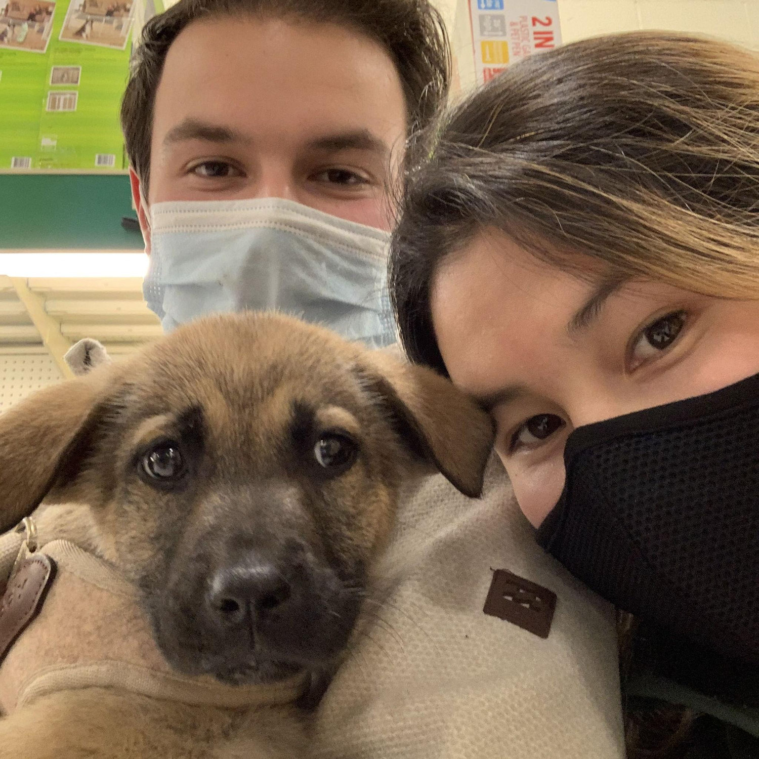The day we adopted Ollie!!! 2021