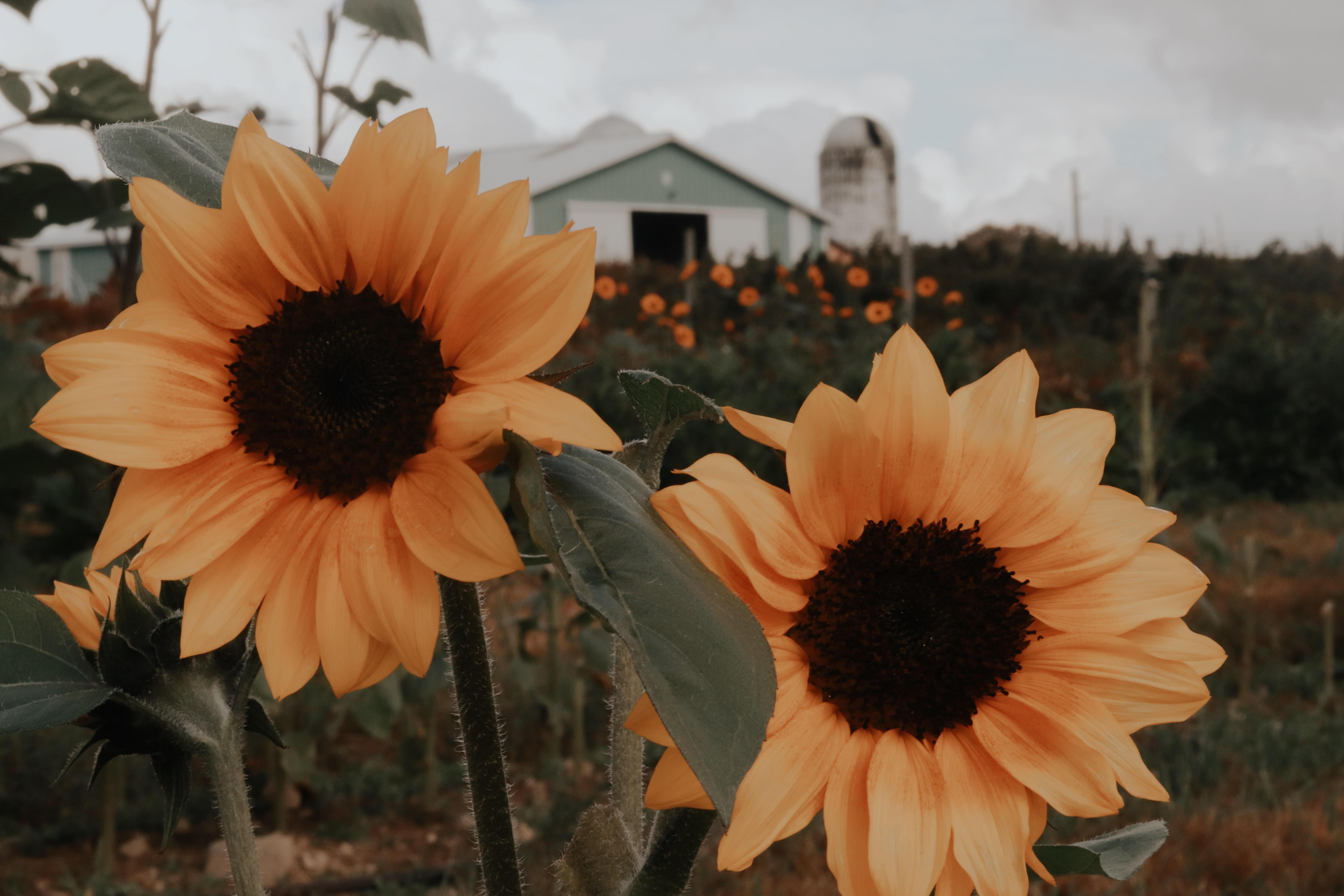 The Wedding Website of Courtney Fisher and Evan Mcgowan