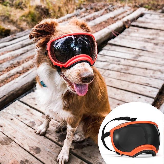 Rex Specs V2 Dog Goggles (X-Large, Bandit Orange)