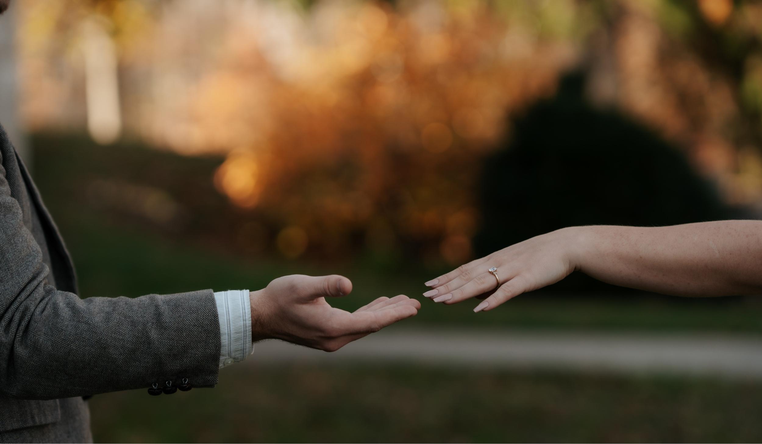 Hero Slideshow Image 5