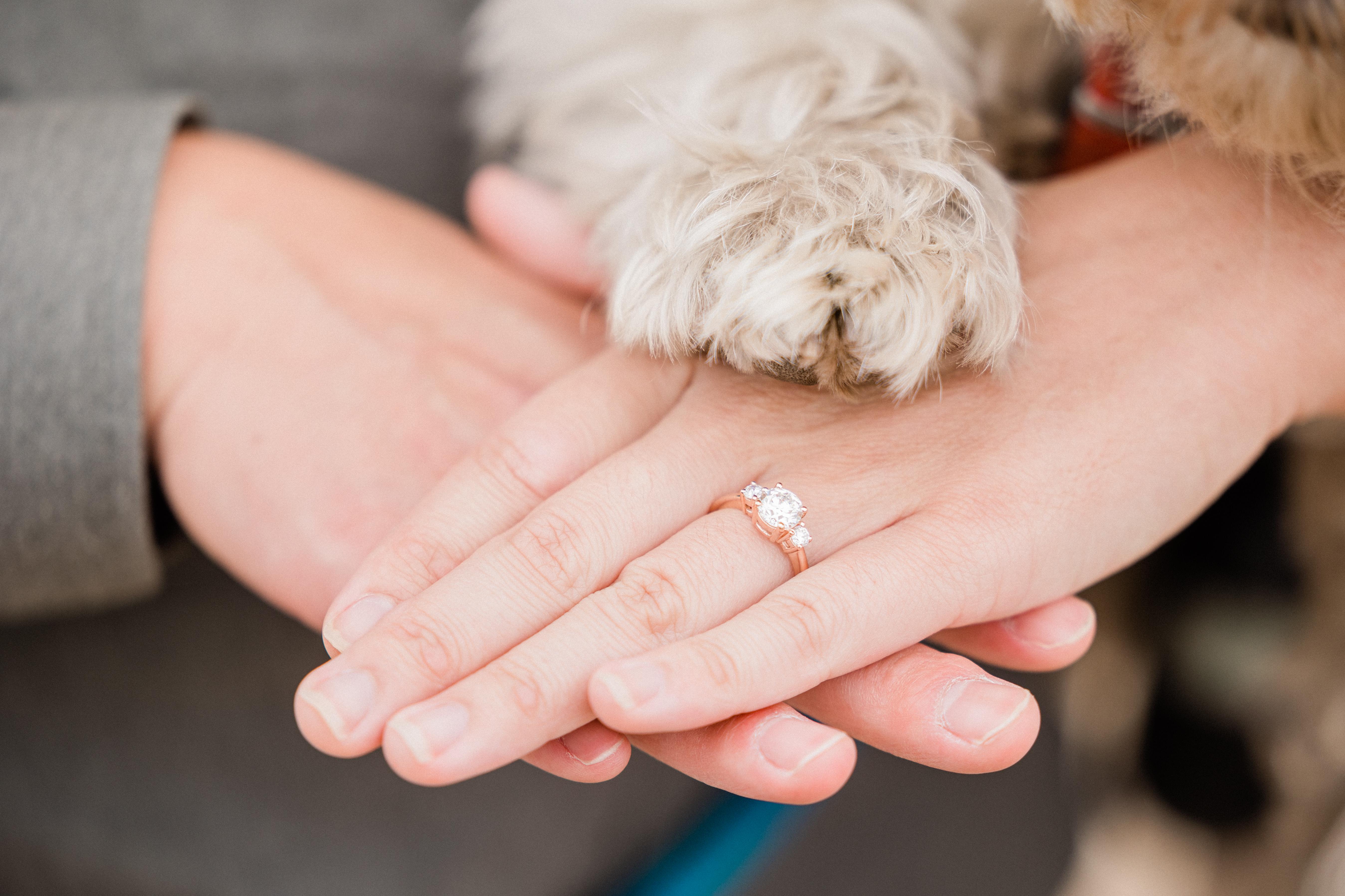 The Wedding Website of Courtney Rochelle Luk and Daniel Lee Cohen