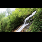 E.B. Jeffress Park-The Cascades Trail