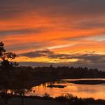 Upper Newport Bay Nature Preserve