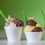 Pinocchio's Italian Ice Cream