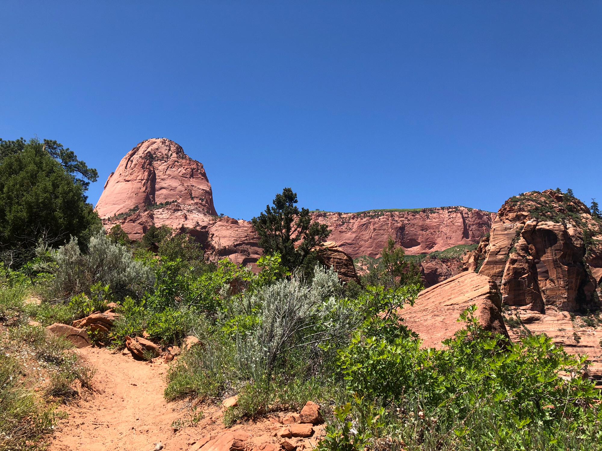 Zion National Park, UT