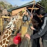 Cheyenne Mountain Zoo