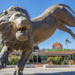 San Diego Zoo