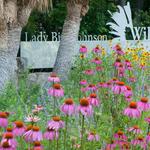 Lady Bird Johnson Wildflower Center