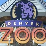 Denver Zoo