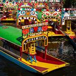 Trajineras Xochimilco Boat Tour