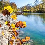 Chessie Nature Trail