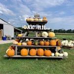 Oak Hill Tree Farm & Fall Festival