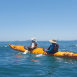Kayak Tours
