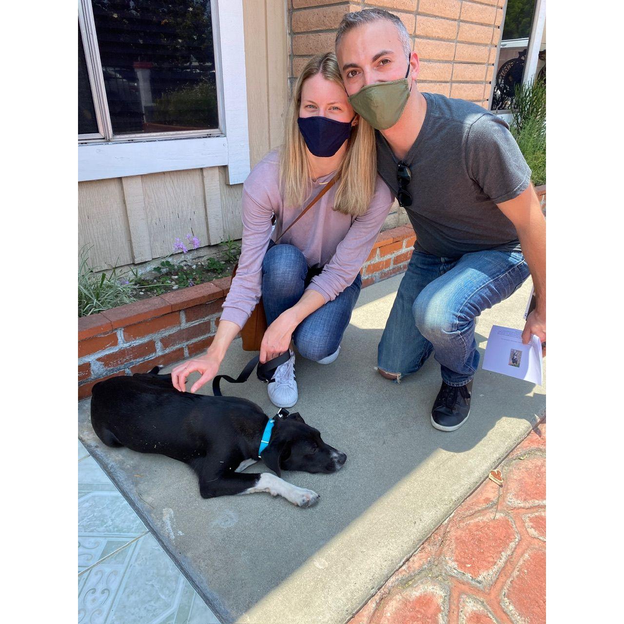 Bringing home our sweet baby Bosco (May 2021)