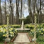Blithewold Mansion, Gardens & Arboretum