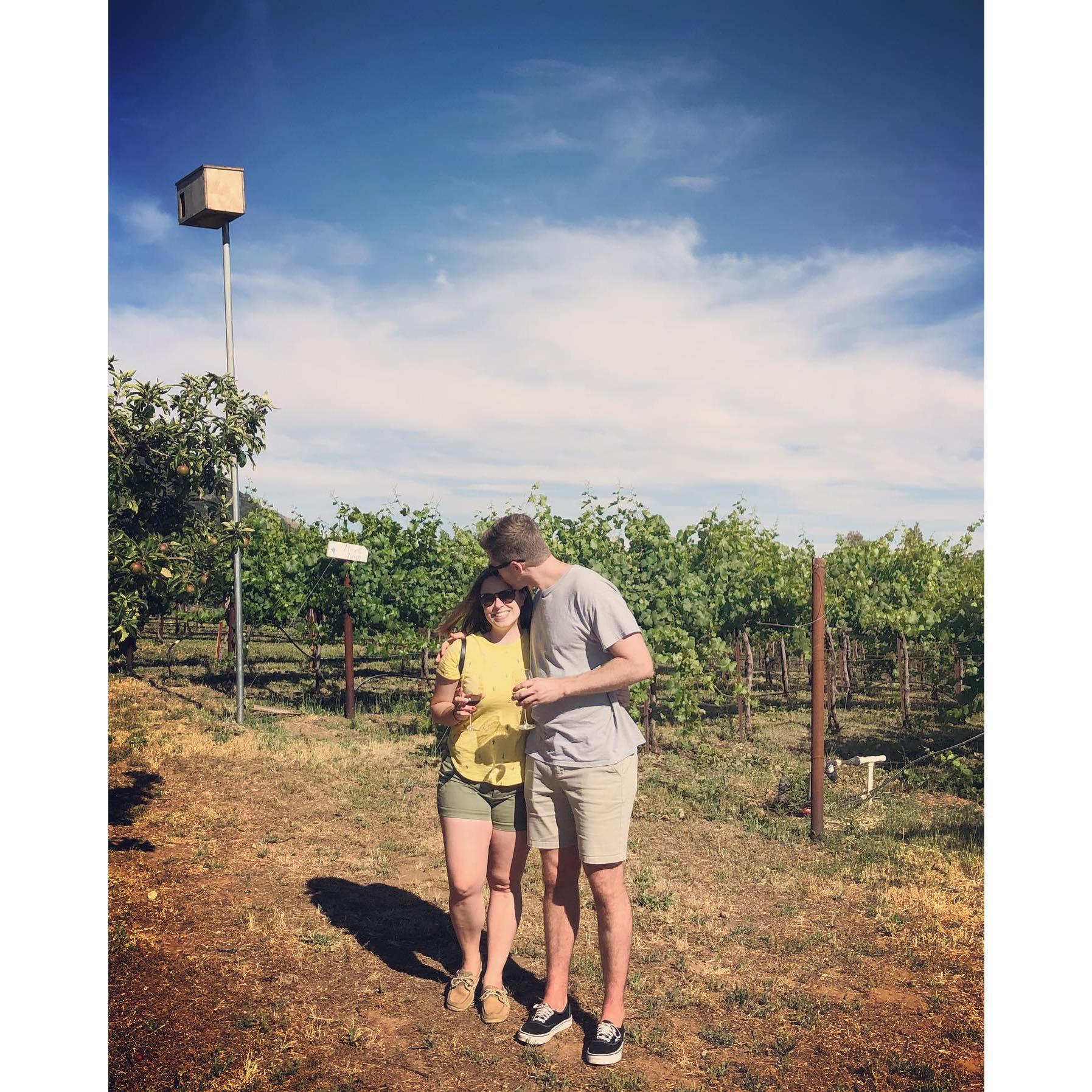 July 2019 wineries in Julian