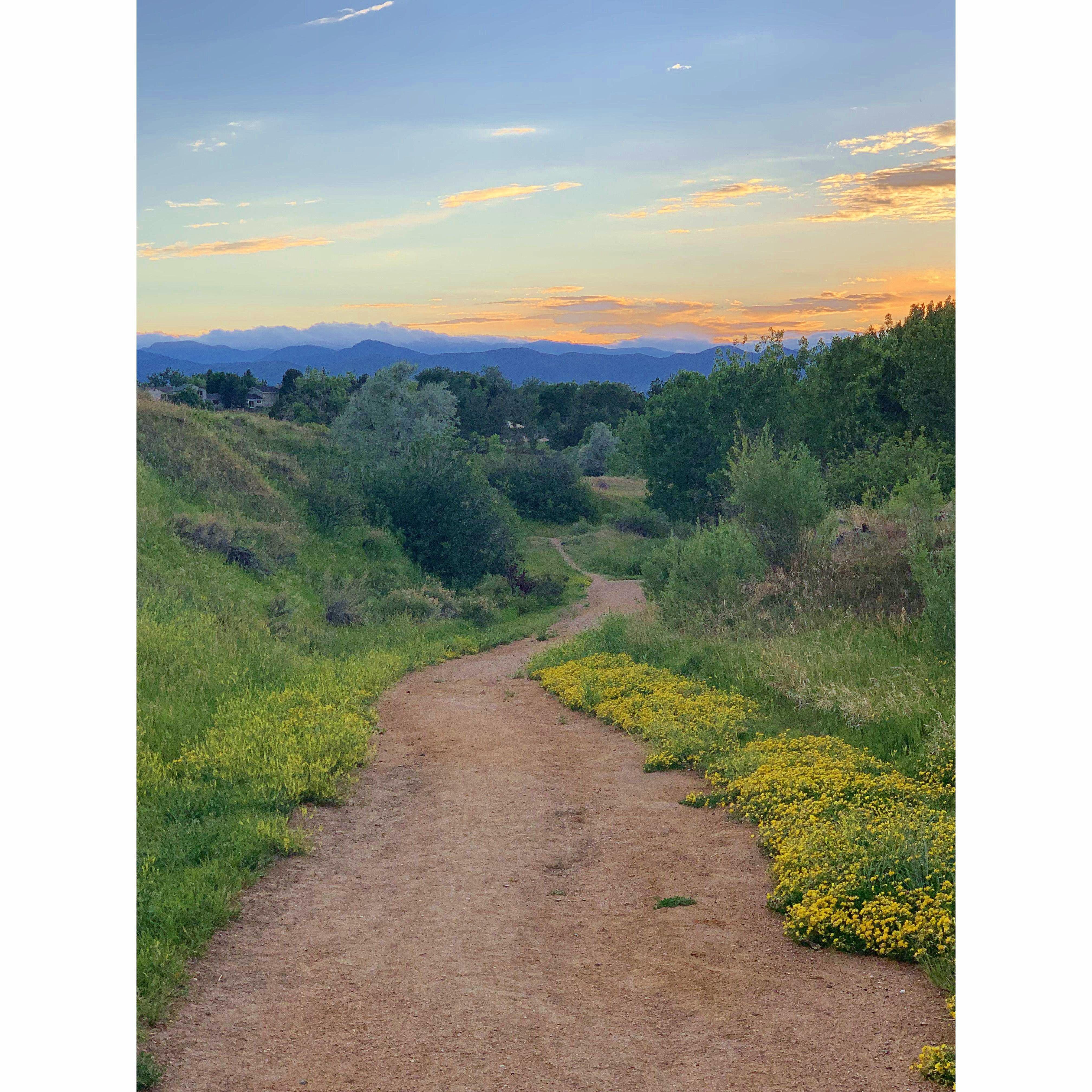 Sunset views from our favorite walking trails in the neighborhood