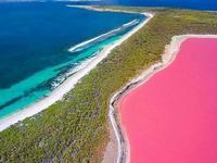 Los Coloradas