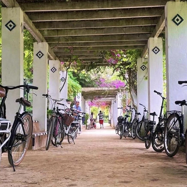 Seville on Two Wheels