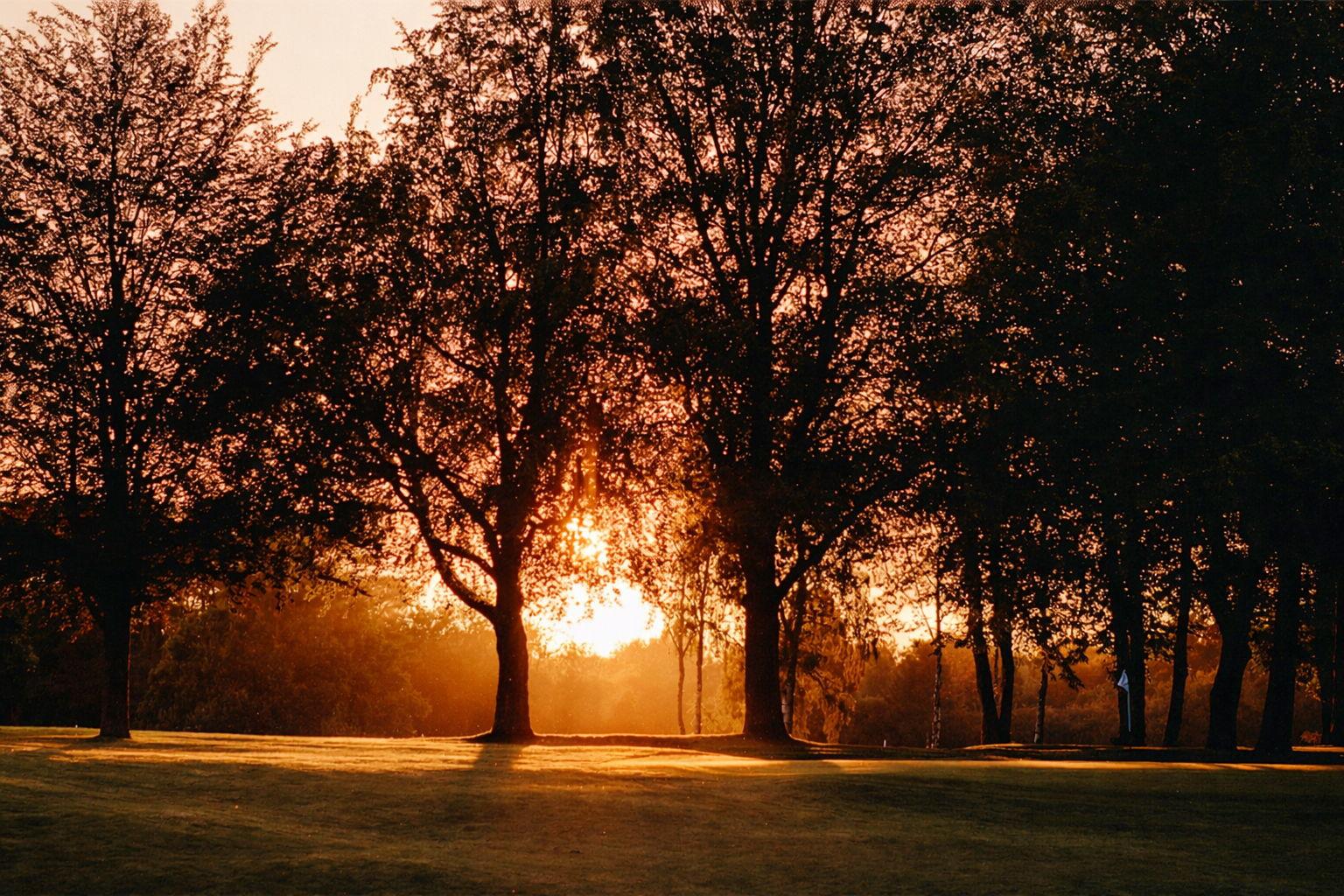 The Wedding Website of Sarah Louise Everns and Thomas James Parker