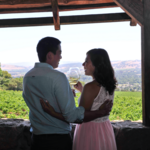Bartholomew Park Winery