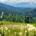 Whitefish Mountain Resort