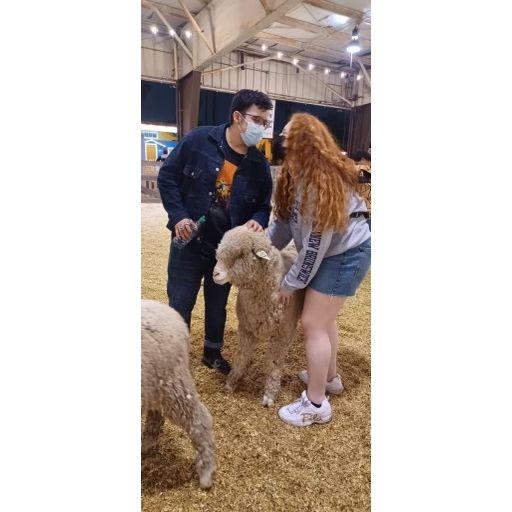 At the LA County Fair